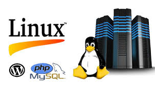 linux hosting