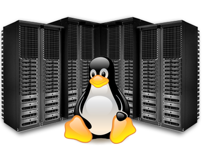 hosting linux premium