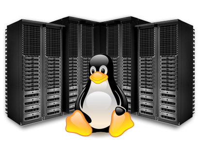 hosting linux premium